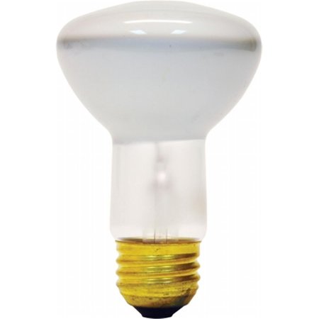 CURRENT Ge Lighting 18279 2 Count 45 Watt Soft White Indoor Flood Light Bulb 18279